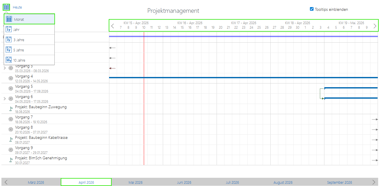 Projektmanagement_Kalenderansicht Monat.png